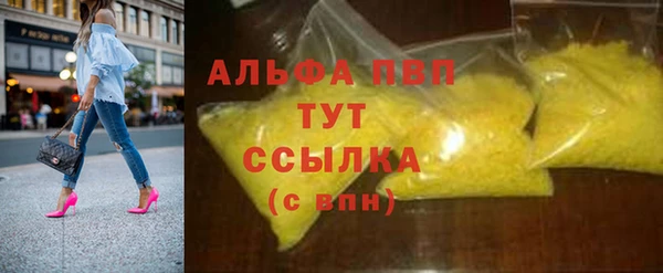 индика Бородино